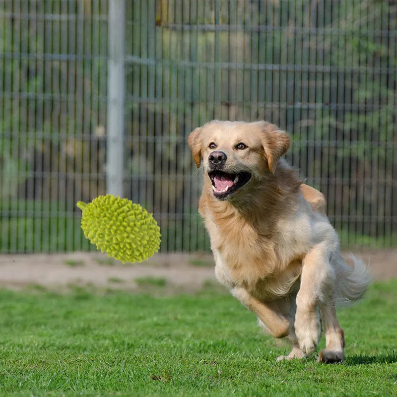 Beige, green, and yellow durian-shaped dog chew toy with textured surface for teeth cleaning