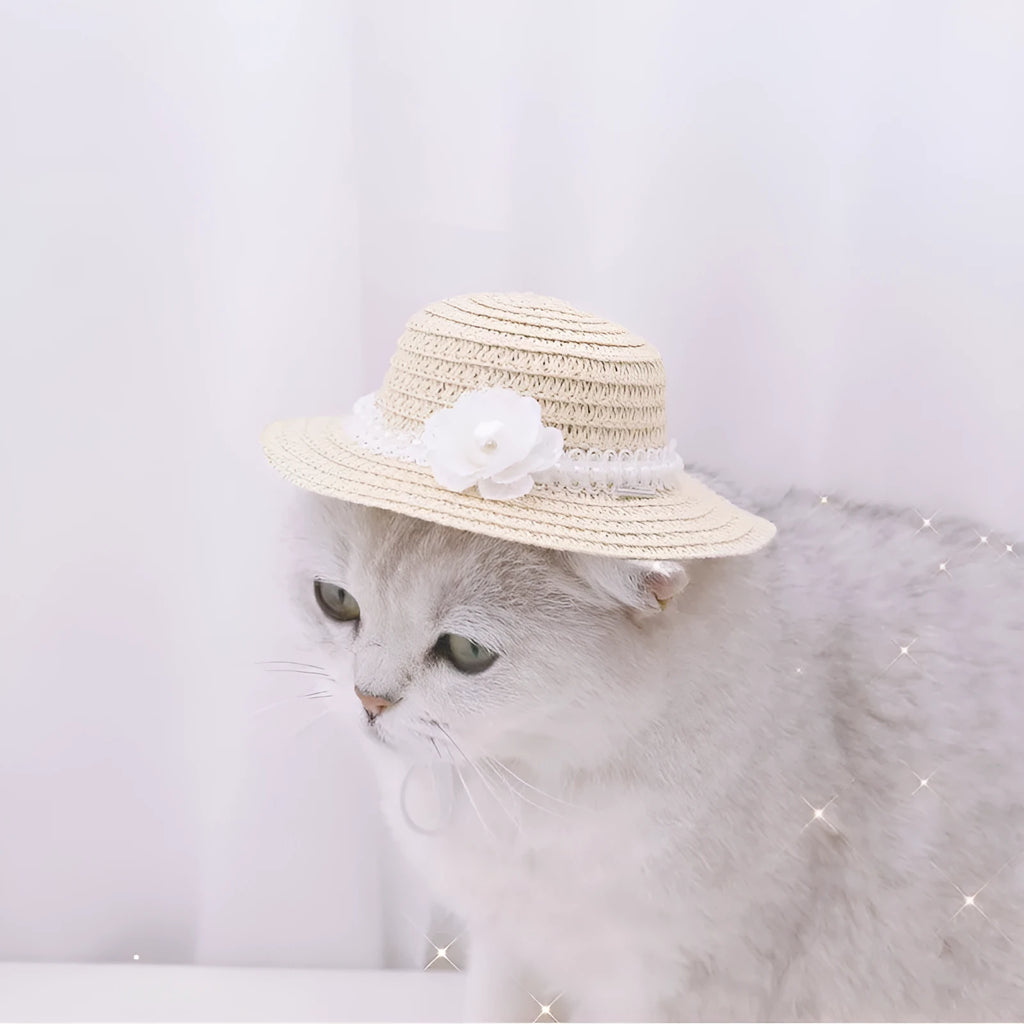 Handmade adjustable bowknot paper pet hat for dogs and cats in cartoon style with seasonal colours