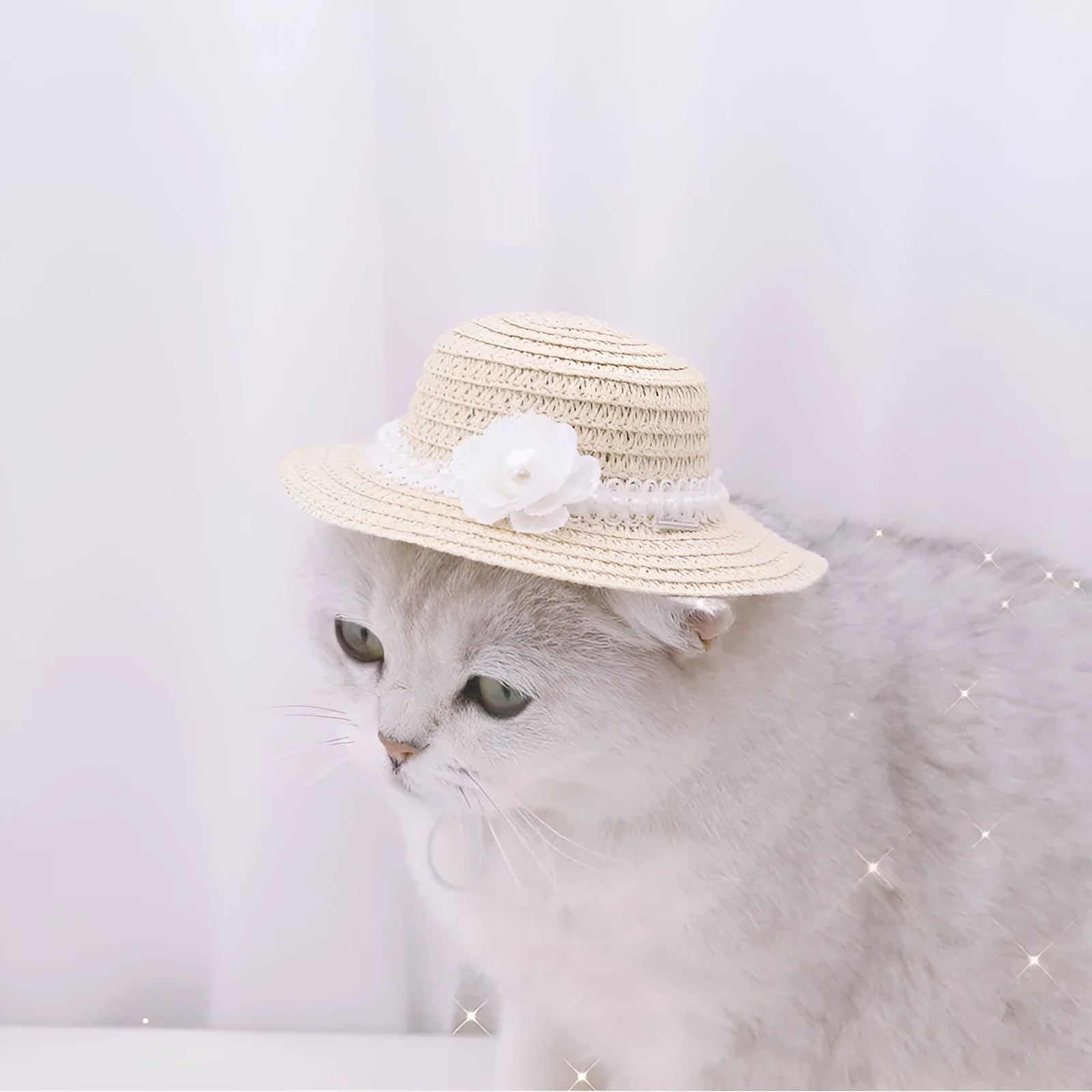 Handmade adjustable bowknot paper pet hat for dogs and cats in cartoon style with seasonal colours