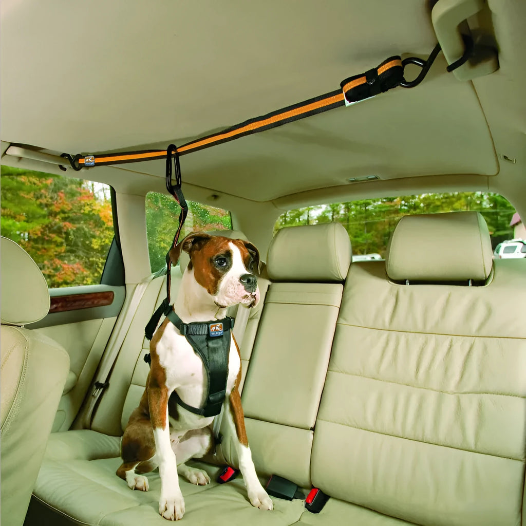 Orange nylon pet safety belt dual-purpose car lanyard with clip, for small to medium dogs