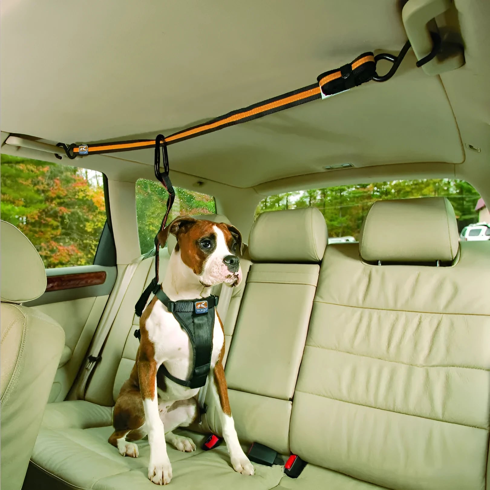 Orange nylon pet safety belt dual-purpose car lanyard with clip, for small to medium dogs