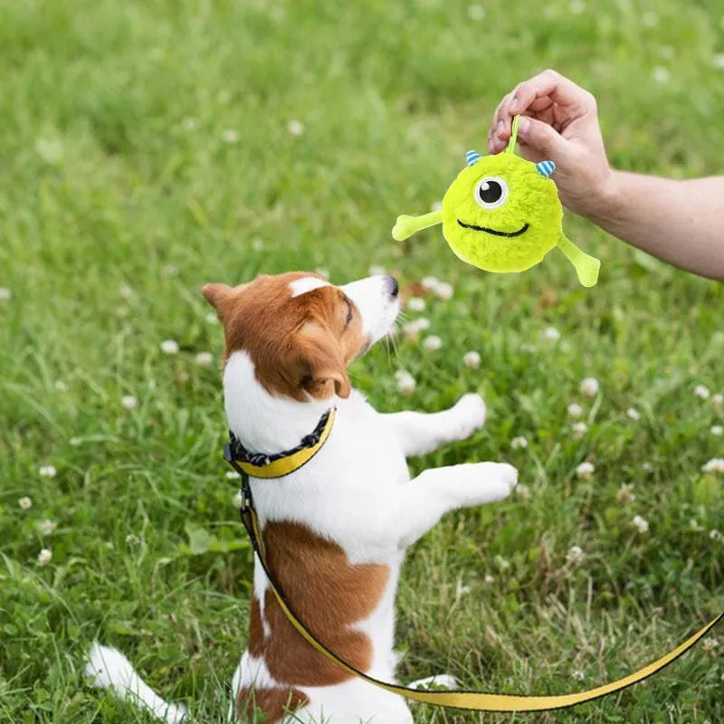 Green plush and TPR sound-activated dog teething toy ball, 12cm diameter.
