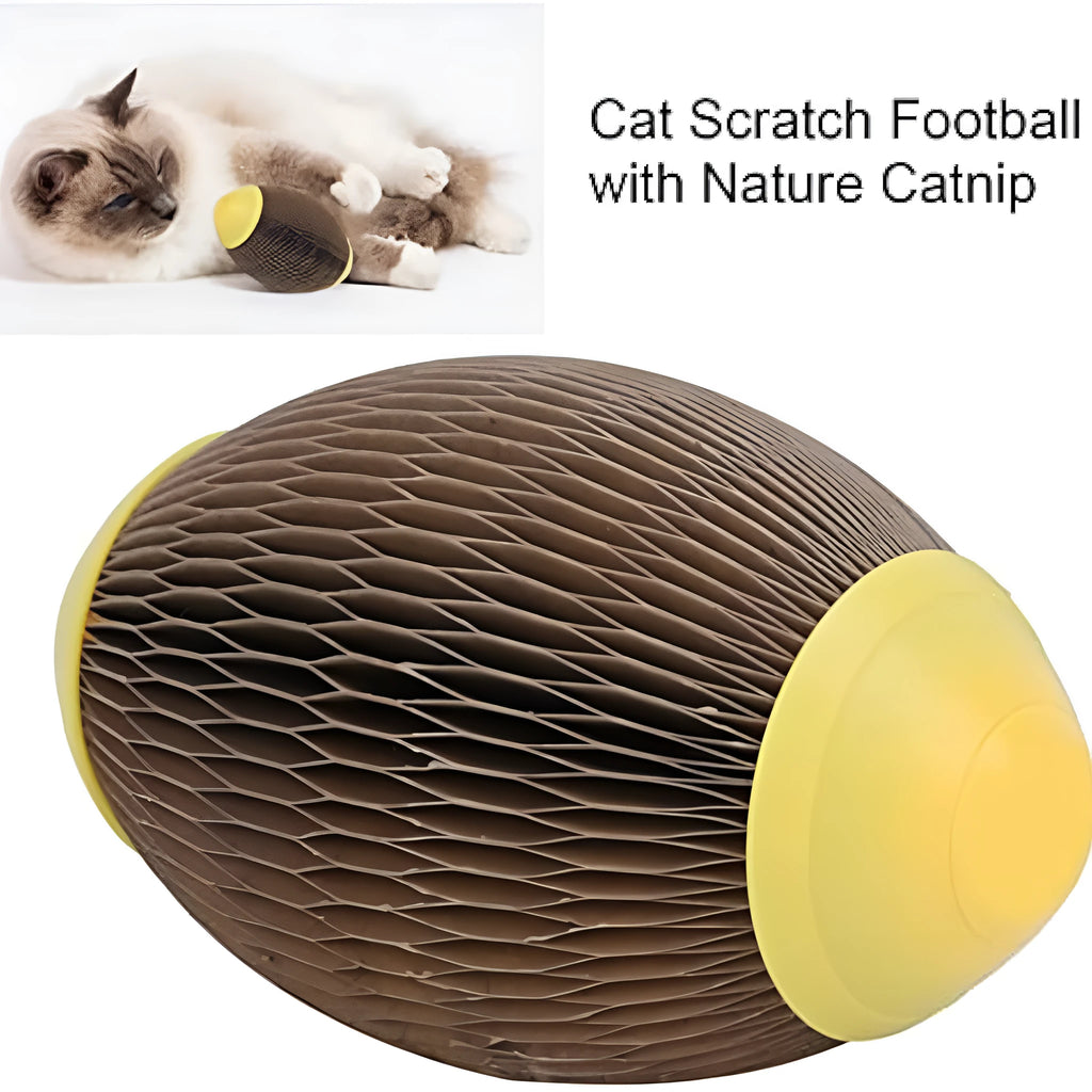 Green ellipse‑shaped corrugated paper catnip ball toy with scratch surface on a white background