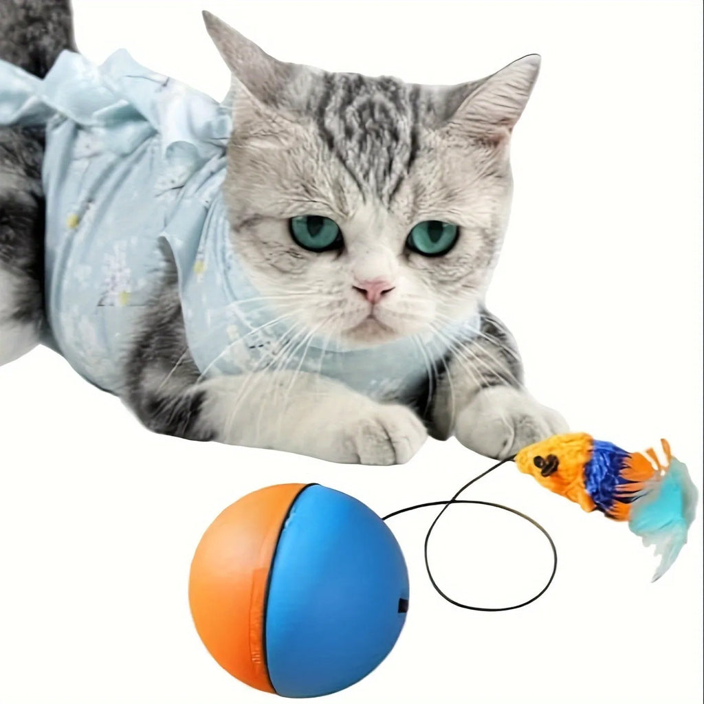Orange and blue interactive motorised cat toy ball with a plush mouse inside, showing its compact size.