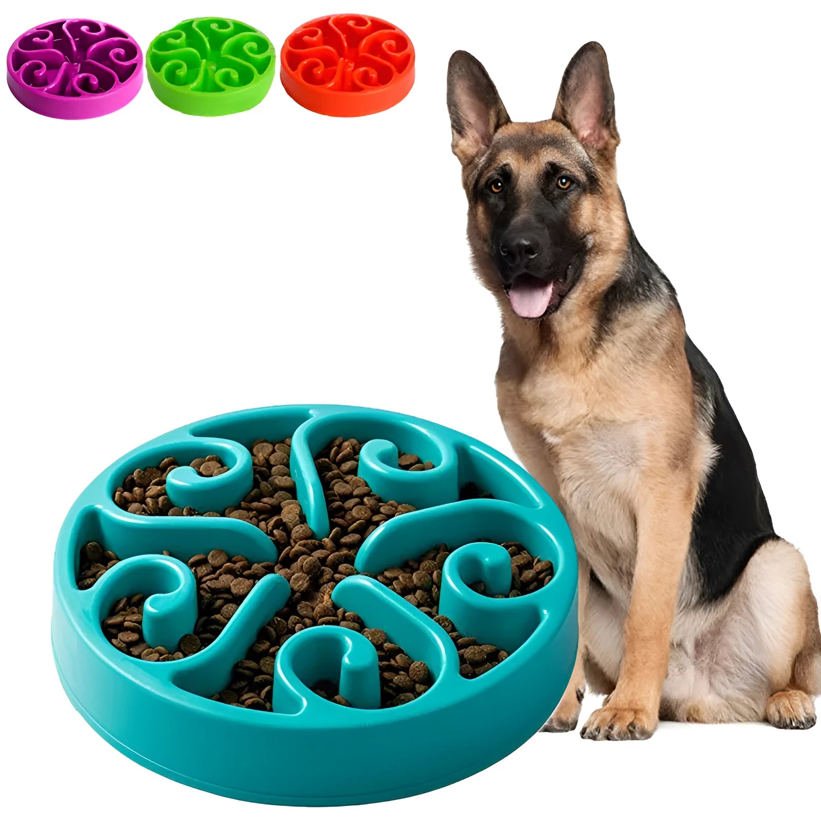 A coloured slow feeder dog bowl with a maze pattern design and a wide non-slip base.