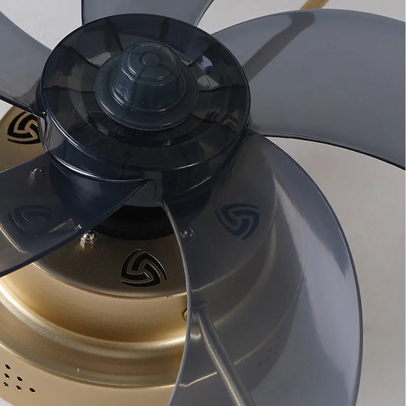 Nordic-style remote control ceiling fan lamp with light, 50cm diameter, in black finish
