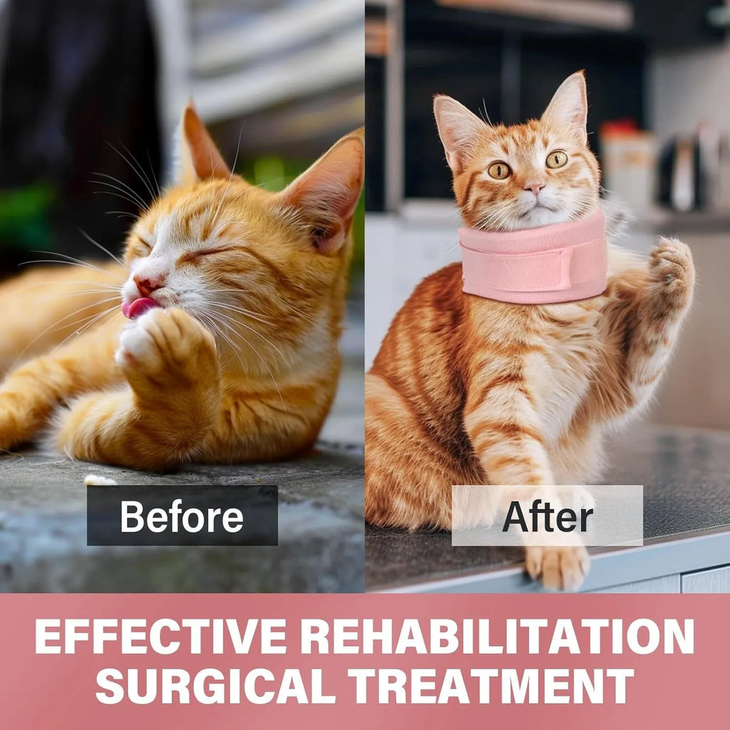 Soft grey and pink cat recovery cone collar showing four size options for post-surgery support