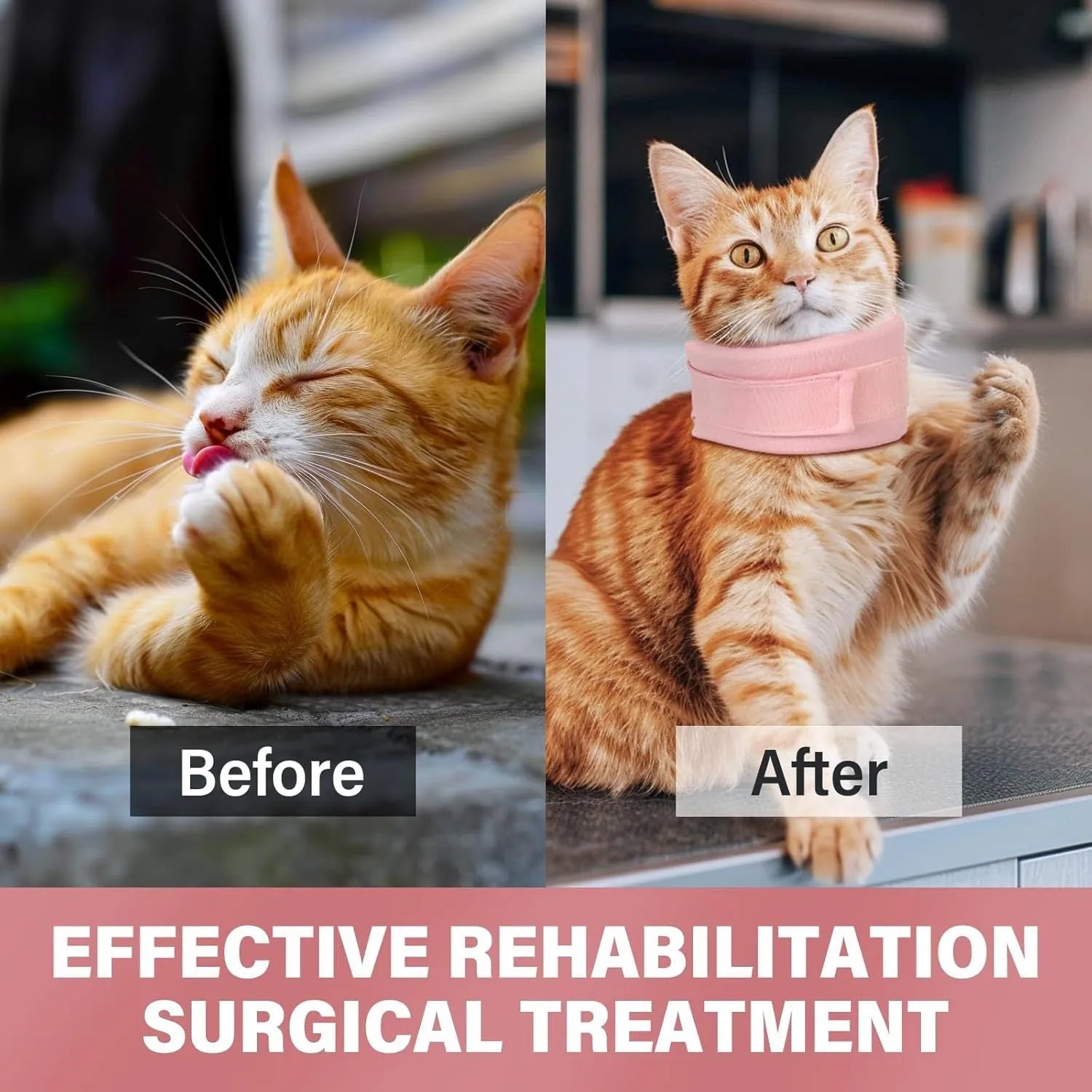 Soft grey and pink cat recovery cone collar showing four size options for post-surgery support