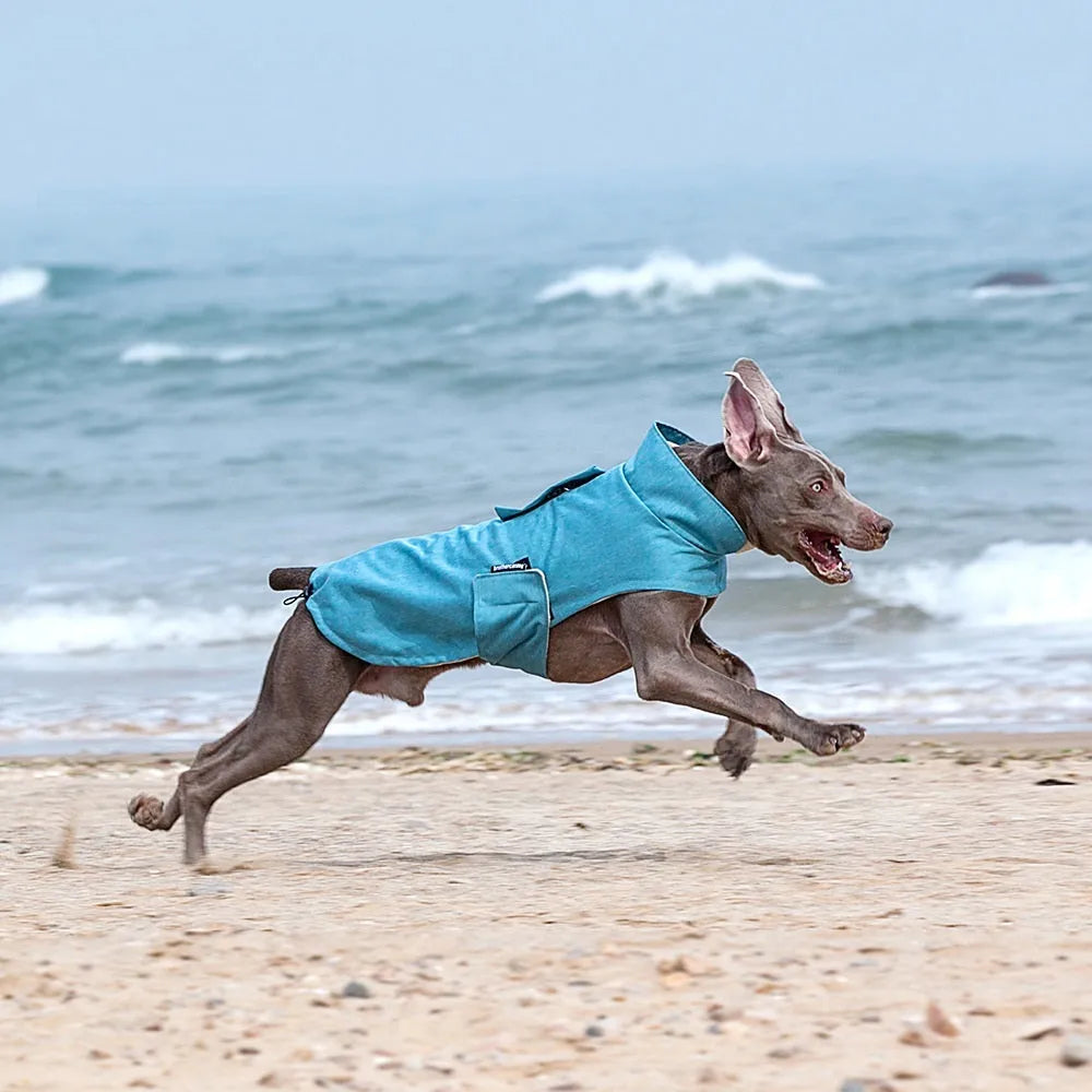 Polyester dog clothing vest in rose red, light blue, or grey colours for medium-large dogs