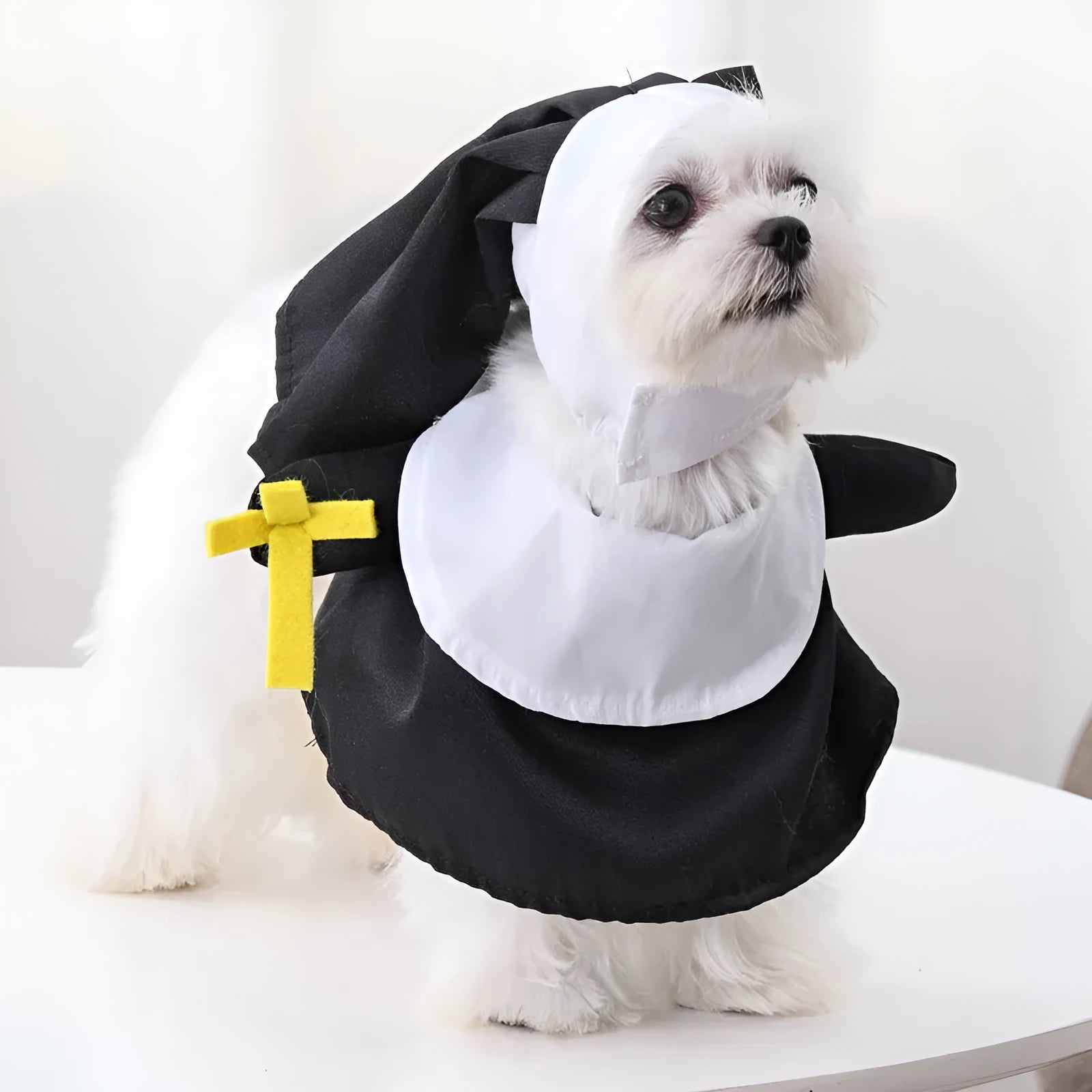 Black polyester nun costume for pets shown on dog, free size Halloween clothing