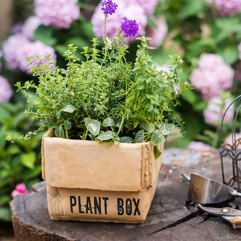 Cement brown paper box style flowerpot with bottom drainage holes for indoor plants