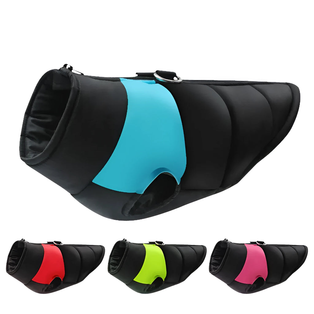 Waterproof padded dog winter jacket with front zip closure shown in multiple colours and sizes