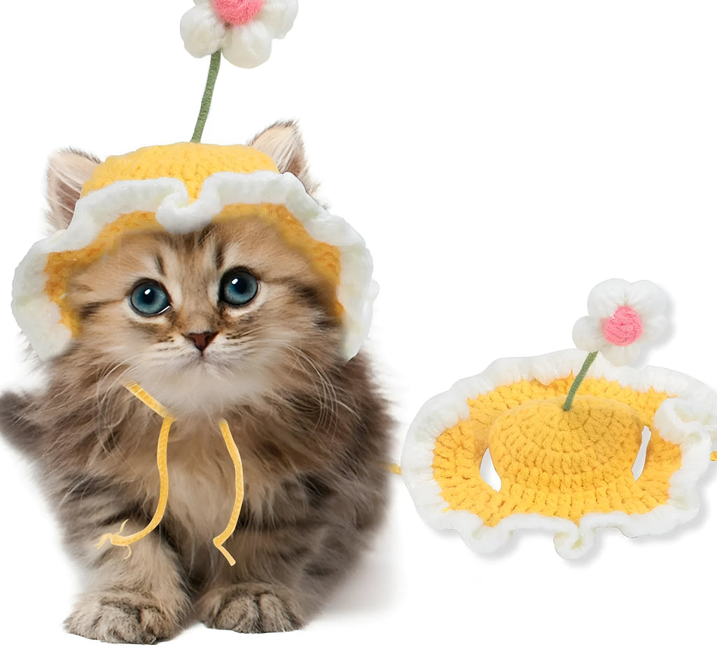 Knitted cartoon-style hat for a cat or small dog on a green background