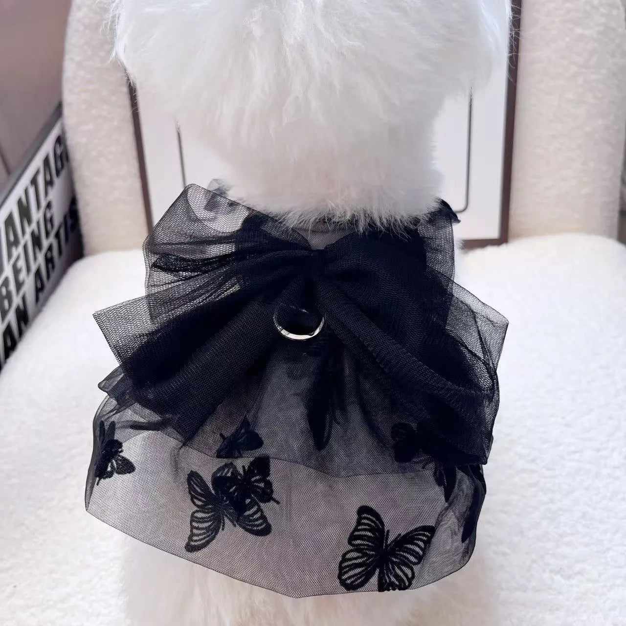 Black gauze tulle princess skirt costume on a small dog, showing the layered skirt and fitted bodice.
