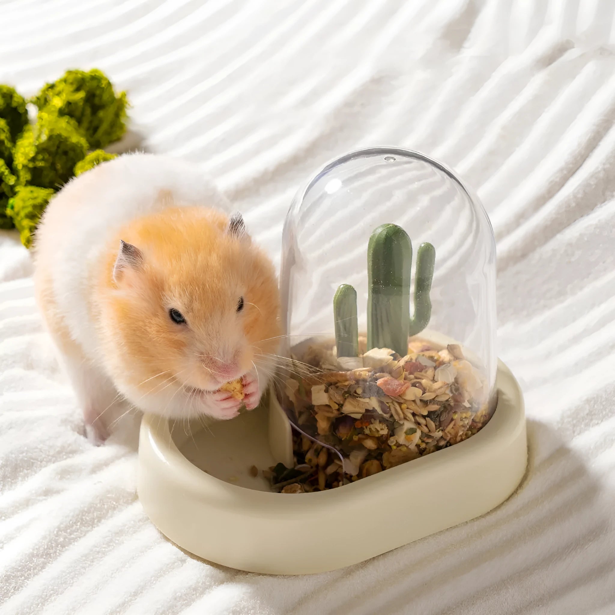 Creative cactus automatic hamster feeder with 190ml transparent grain storage in mint green colour