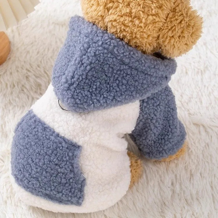 Brown pet hooded cotton-padded coat on a dog with thickened winter padding and full hood
