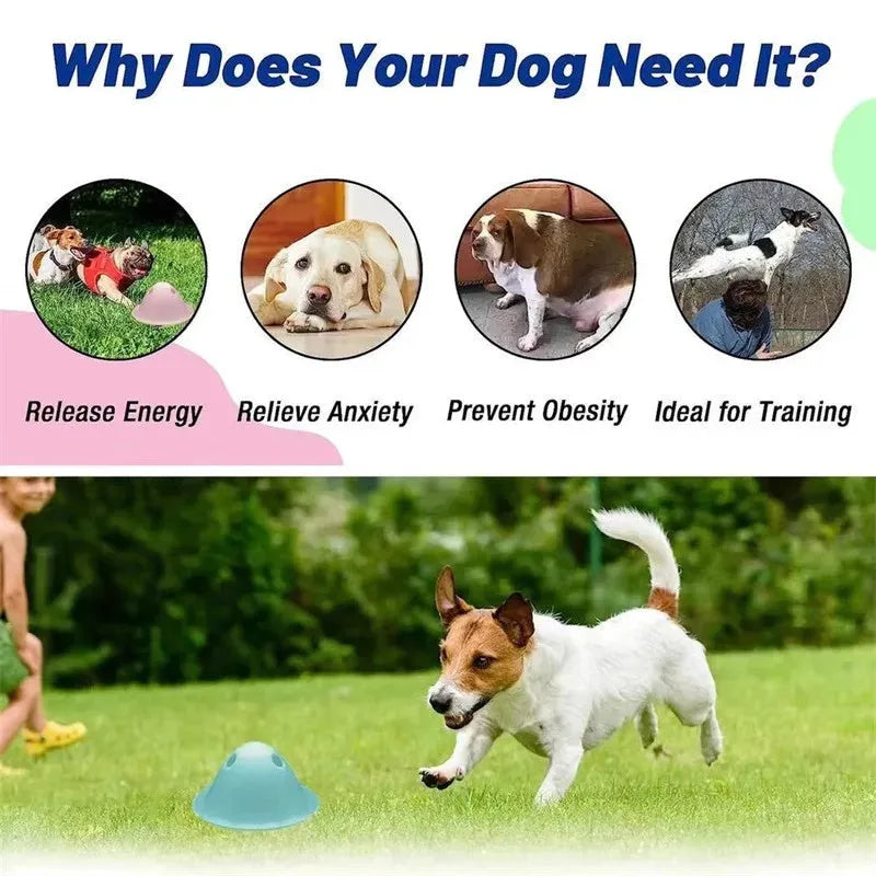 Four-piece interactive dog puzzle toy set with hidden treat compartments for big dogs