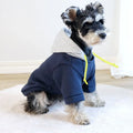 Dark red pet hoodie pullover with hood on a dog showing simple British style design