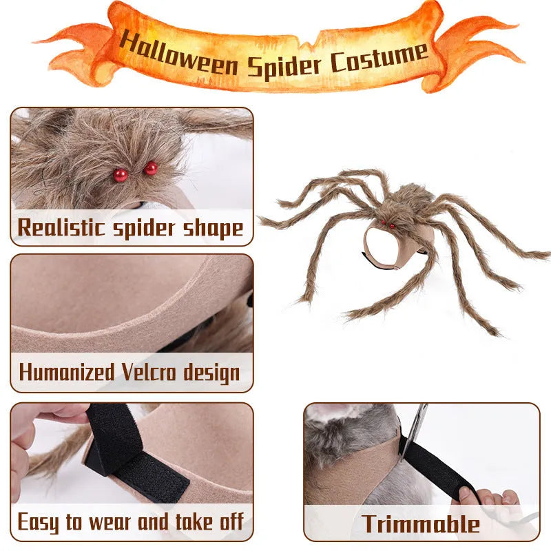 Halloween spider costume for pets on dog showing black and purple spider design