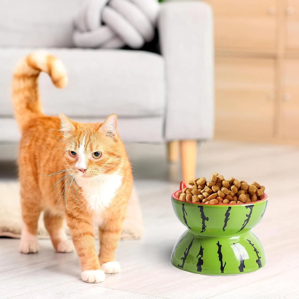 Ceramic raised cat bowl with tilted design in orange pattern, showing elevated feeding station for pets