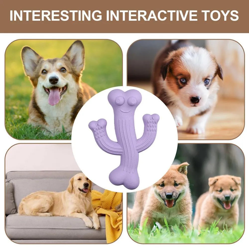 Beige, blue, or purple cactus-shaped dog chew toy made from bamboo fibre and rubber.