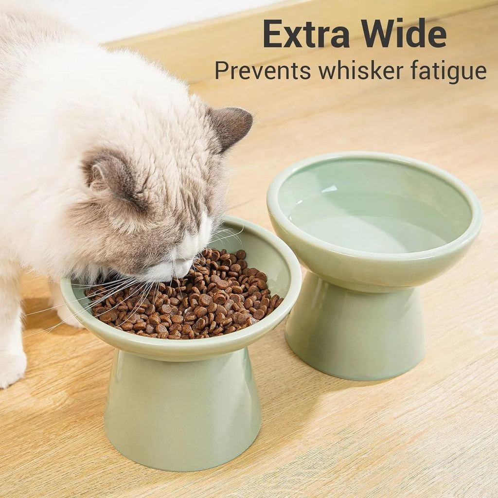 Blue elevated ceramic cat food bowl on a white surface