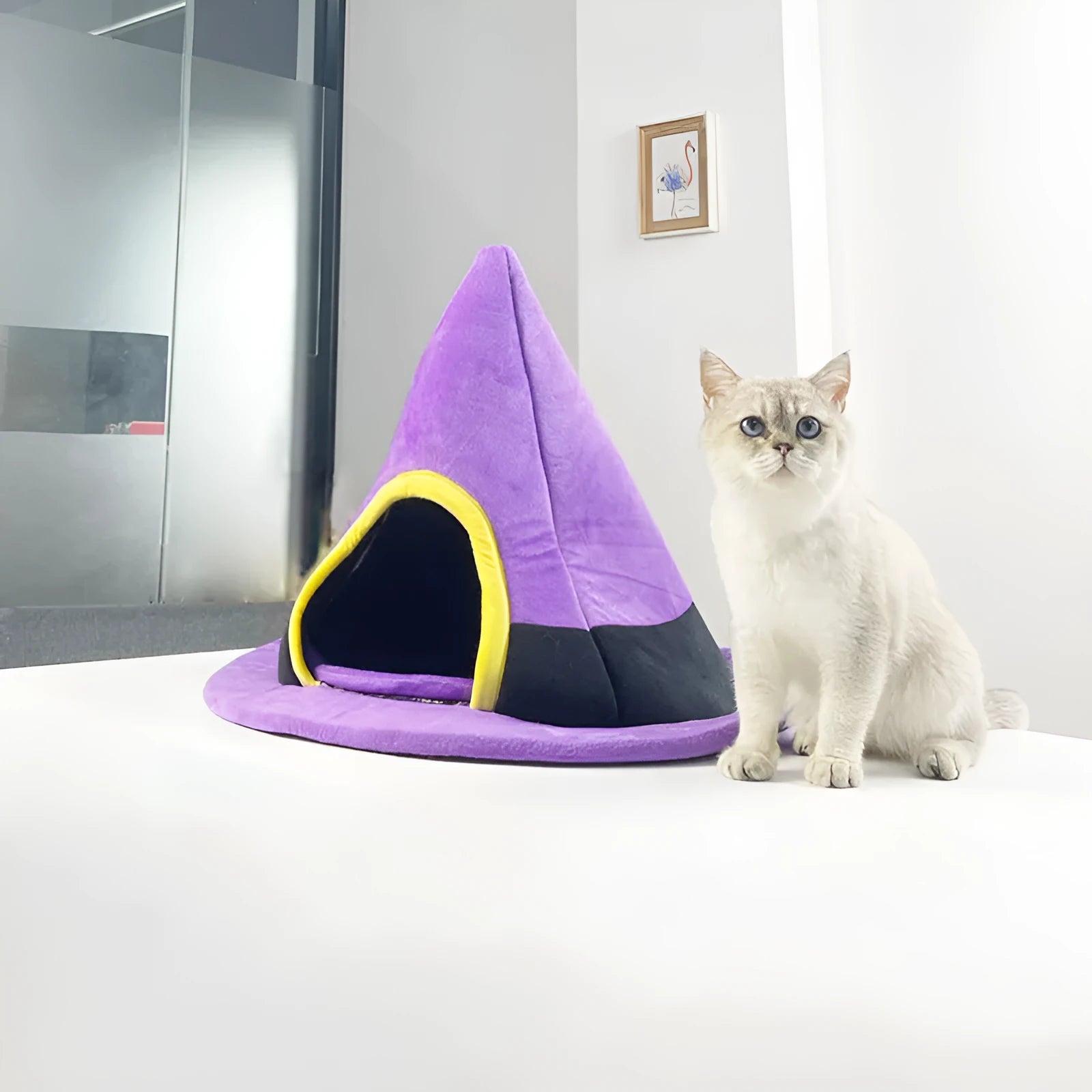 Purple Halloween witch hat shaped soft cloth cat nest bed for pets.