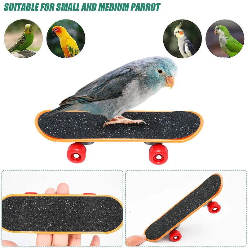 Wooden parrot puzzle training toy set shown in 3-piece, 6-piece, and 8-piece suit options for bird enrichment.