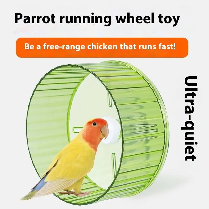 21 cm transparent plastic parrot running wheel exercise toy on a white background