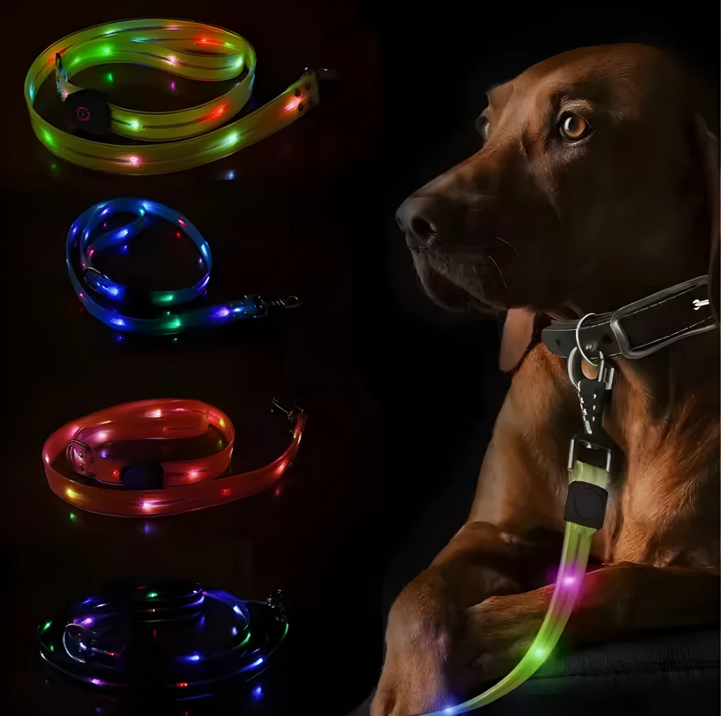 PVC rope dog leash in orange, black, fluorescent green, or blue colour measuring 25x120cm