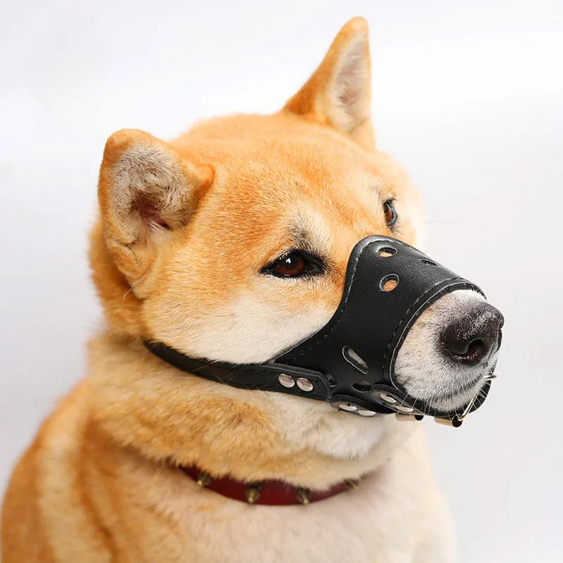 Black dog muzzle with silencer function for barking control and bite prevention on golden retriever