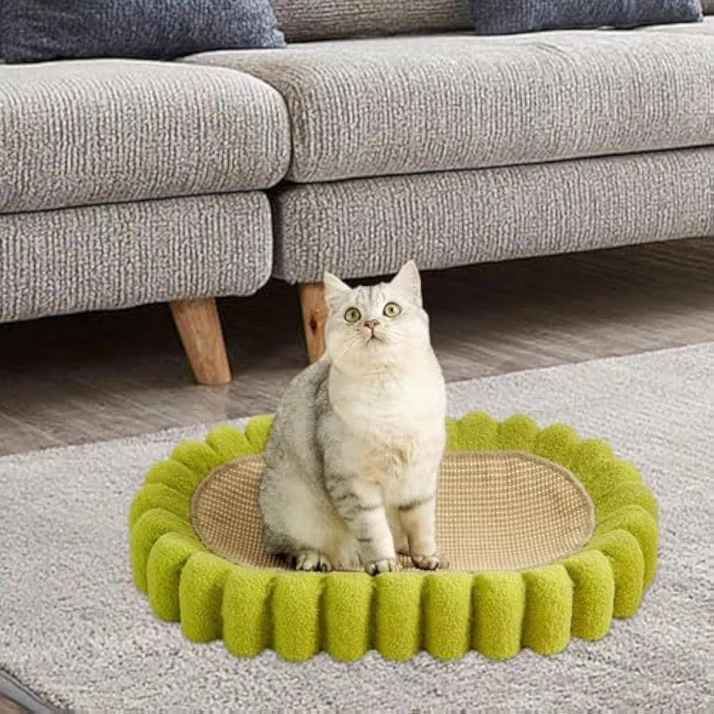 Green oval cat scratch pad bowl bed made from sisal measuring 650mm by 420mm