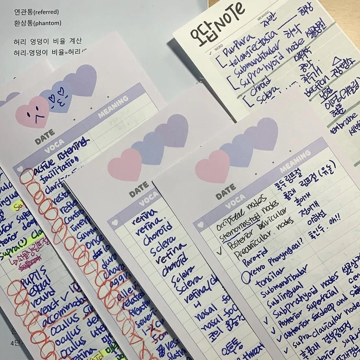 Half-B5 size notepad with English words, shown in pink, purple, and blue cover colour options.