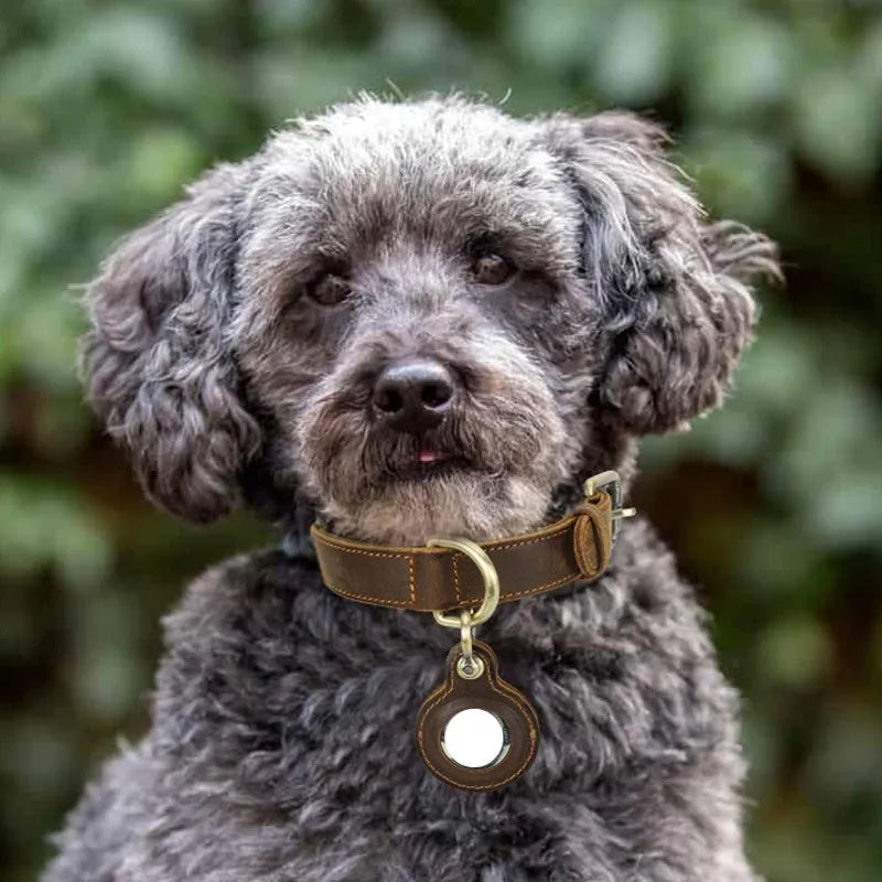 Brown retro double-sided cowhide dog collar with handmade halter positioning system