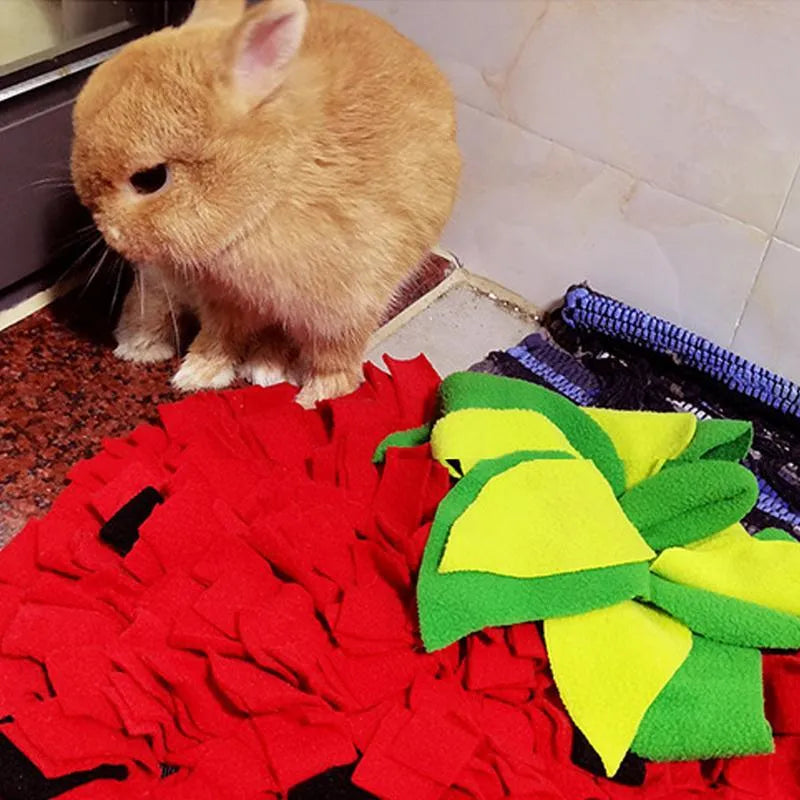 Red and green strawberry-shaped interactive slow feeder mat for pets on a floor.