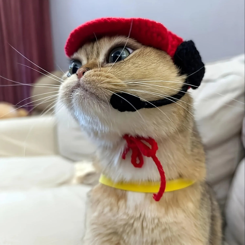 Handmade chef hat and knitted sweater set for a cat or small dog's birthday party
