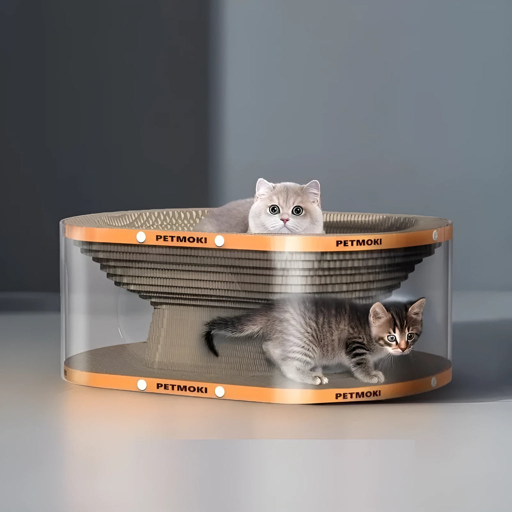 Transparent white PVC cat tunnel with corrugated cardboard scratching panels, 58 cm long.