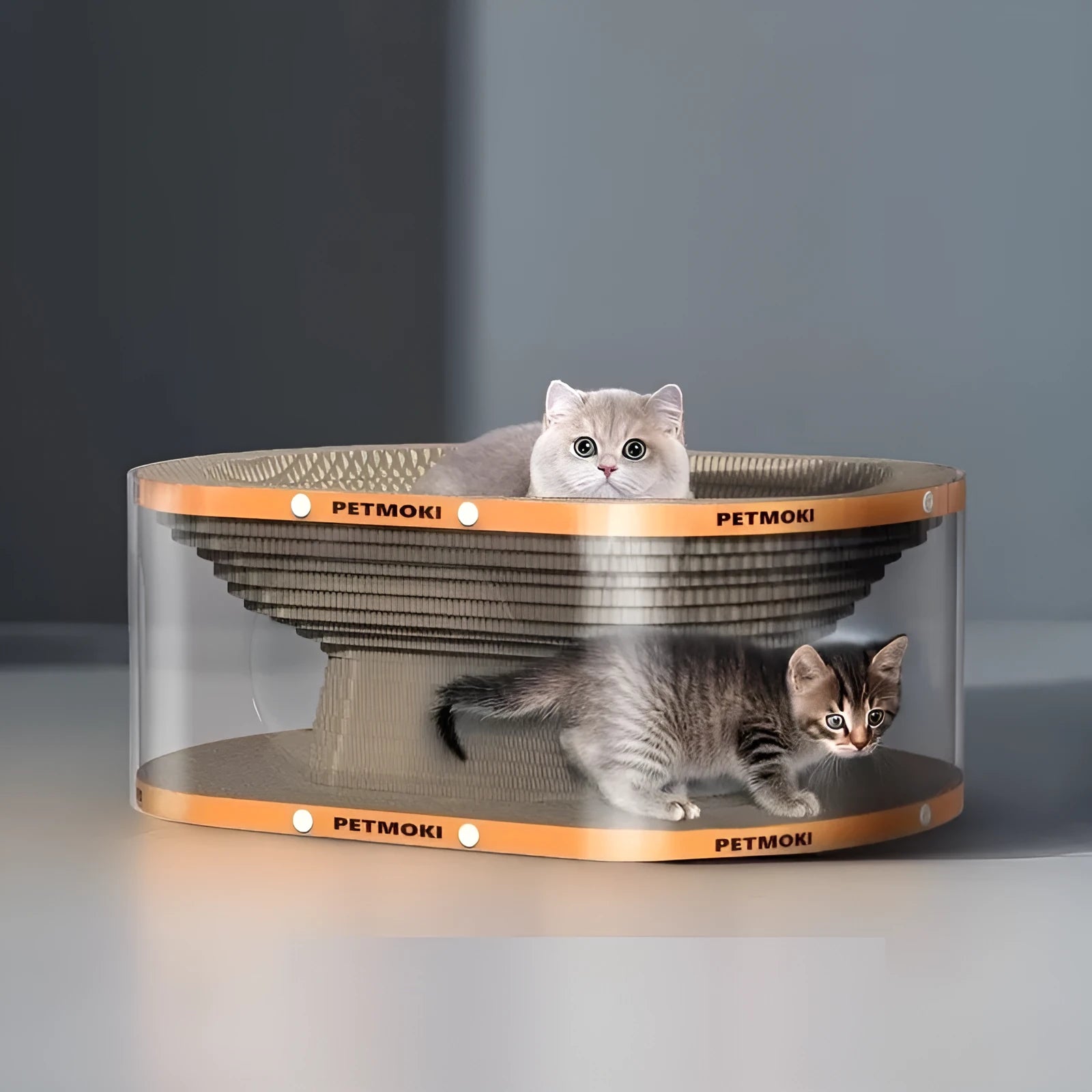 Transparent white PVC cat tunnel with corrugated cardboard scratching panels, 58 cm long.