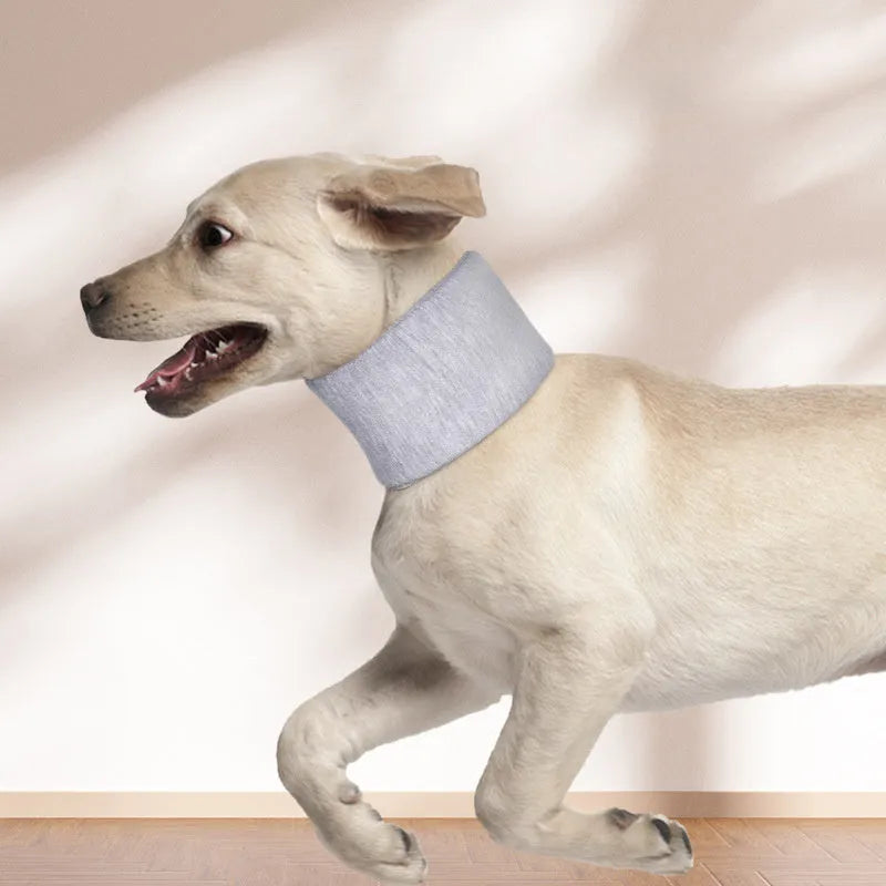 Soft grey and pink cat recovery cone collar showing four size options for post-surgery support