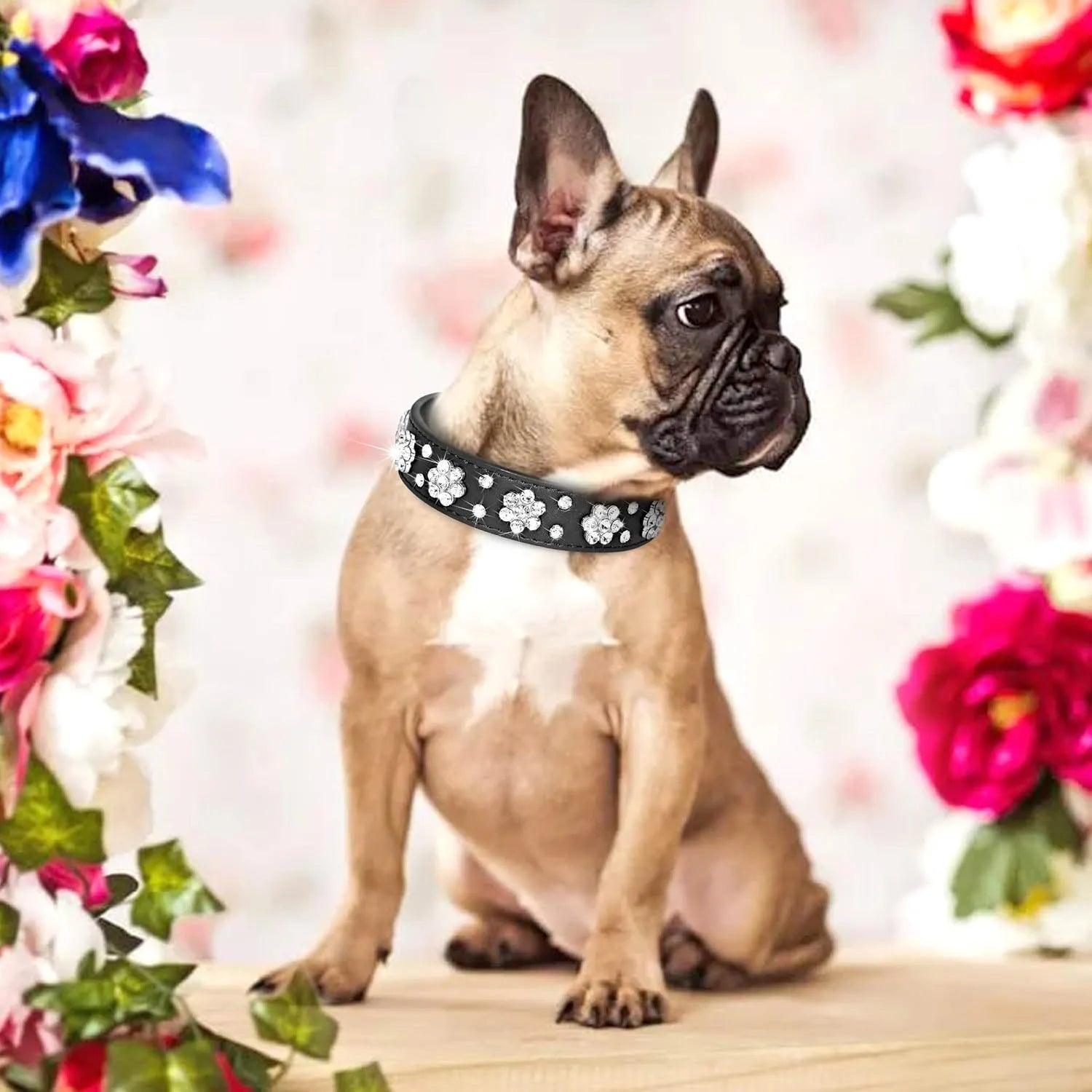 Close-up of a black PU leather dog collar with sparkling rhinestone flower studs and a metal D-ring