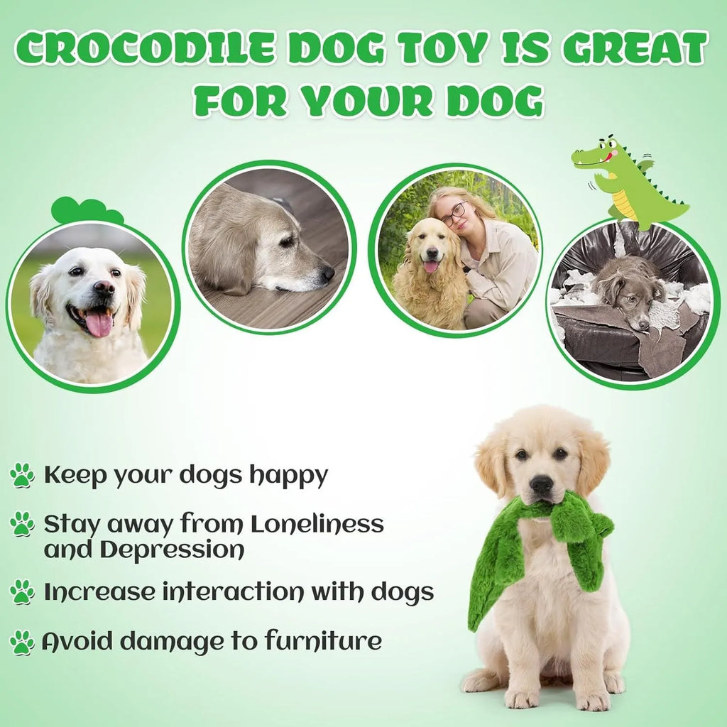 Green plush crocodile dog toy with no stuffing, featuring a squeaker and crinkle paper tail.