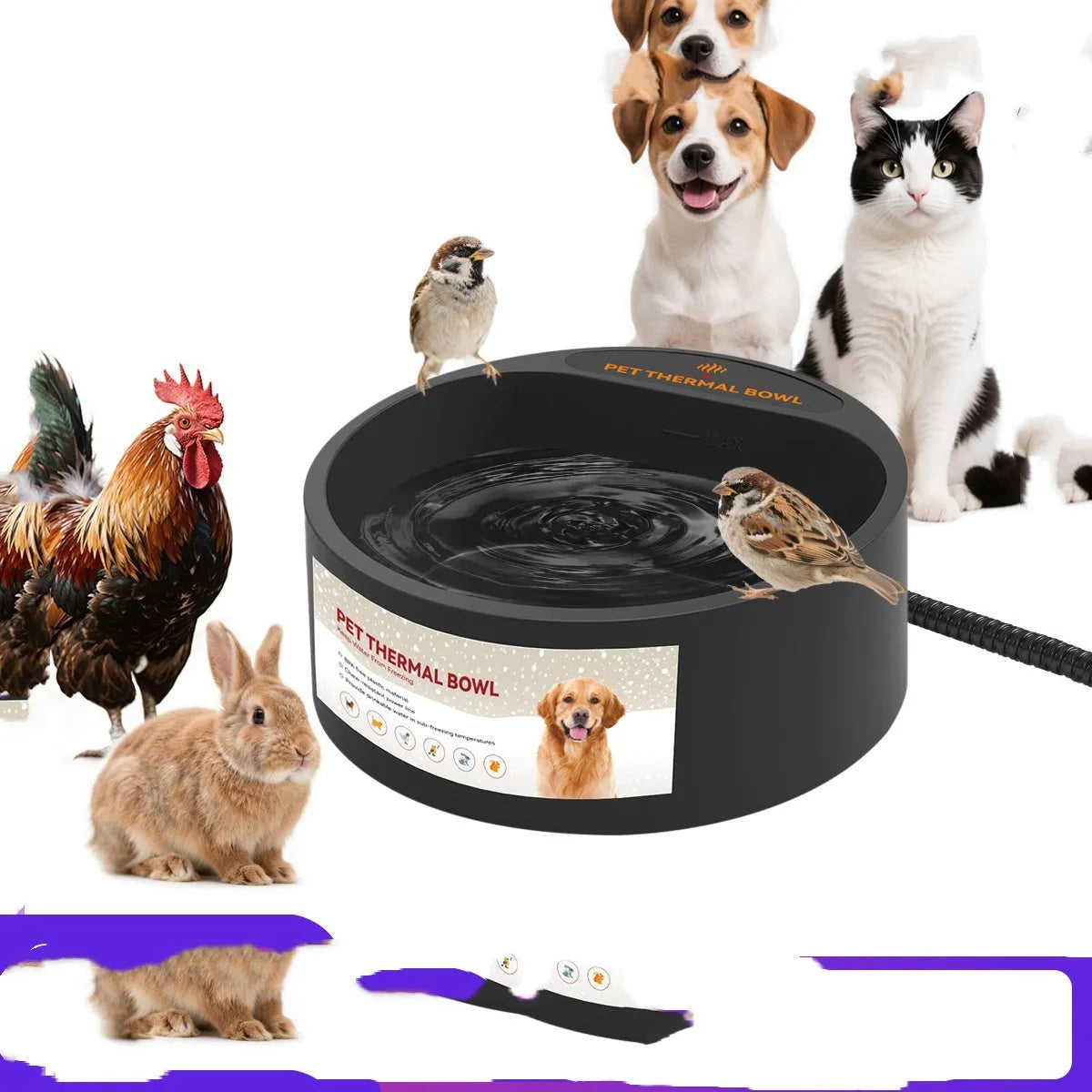 Black ABS plastic electric pet heating bowl for cats and dogs on a table