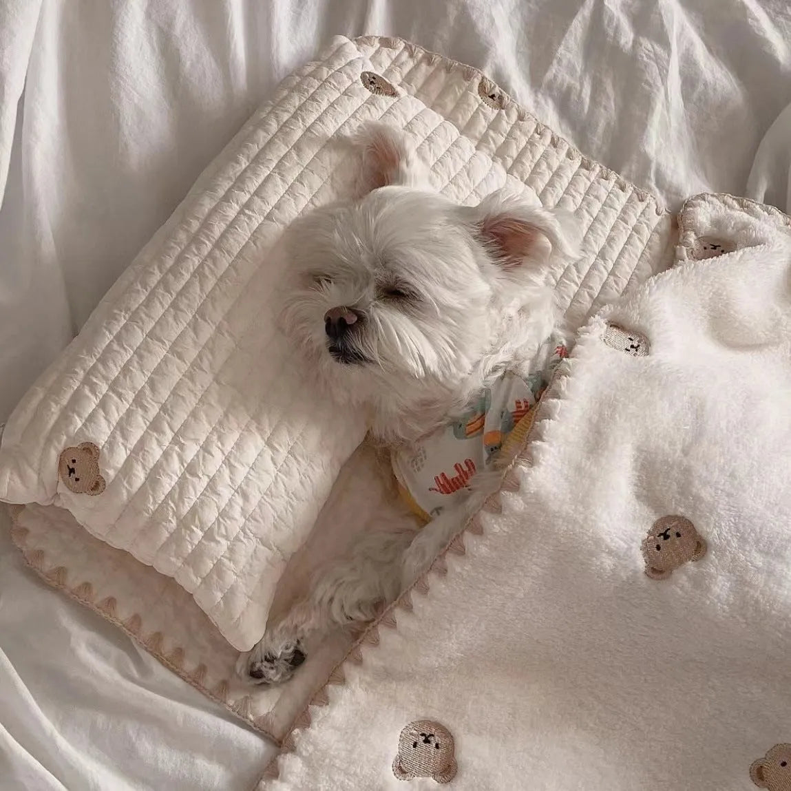 Bear design dog bed set showing pillow, mattress and quilt in soft polyester fabric