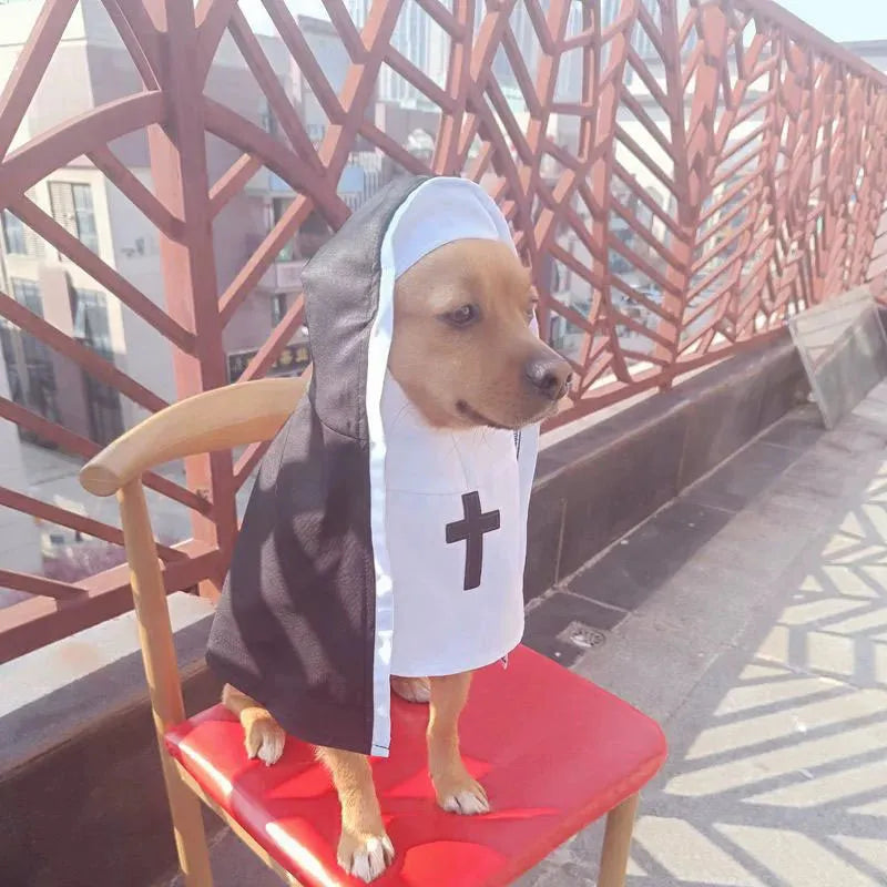 Black and white nun cloak costume on a small dog for Halloween.