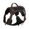 Reflective explosion-proof dog vest harness with detachable hand-held rope in multiple colour options