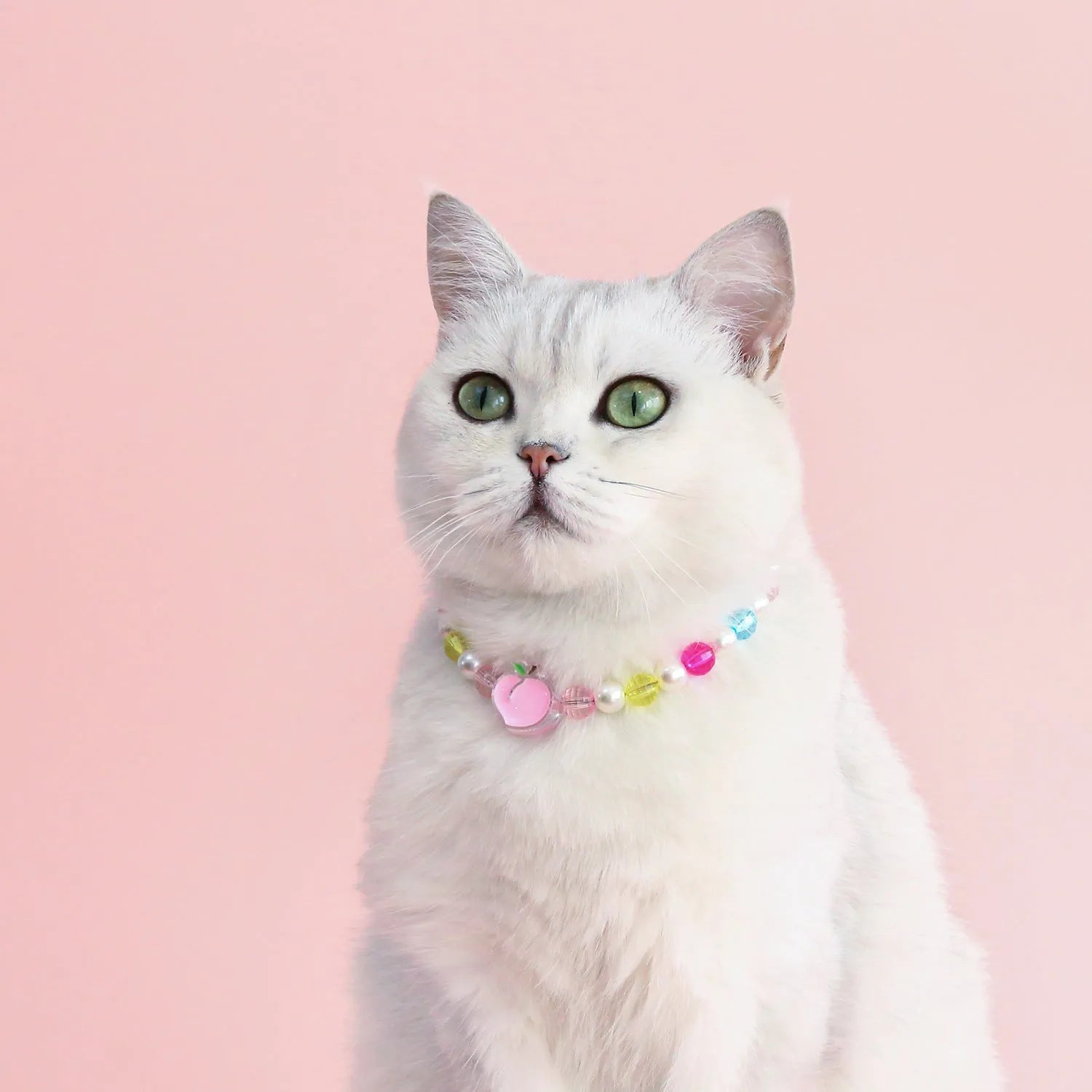 Colourful plastic bead pet necklace in peach, rainbow or small flower pattern with adjustable XS or S size options.