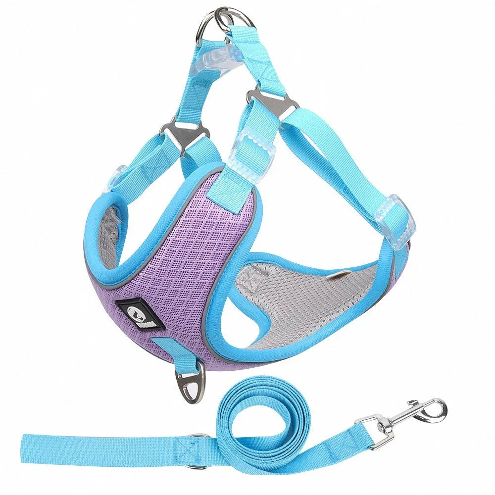 Adjustable mesh dog harness with leash in black colour showing reflective stitching details